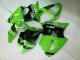 2000-2002 Green Black Kawasaki ZX6R Bike Fairings Canada 2000-2002 Green Black Kawasaki ZX6R Bike Fairings Canada