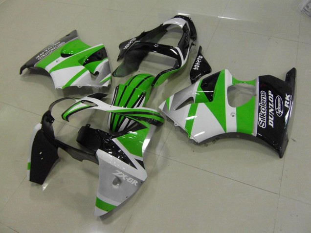 2000-2002 Green White Stripe Kawasaki ZX6R Motorcycle Bodywork Canada 2000-2002 Green White Stripe Kawasaki ZX6R Motorcycle Bodywork Canada