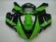 2005-2006 Green Black Kawasaki ZX6R Motorbike Fairing Canada