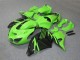 2006-2011 Green Black Kawasaki ZX14R ZZR1400 Bike Fairings Canada 2006-2011 Green Black Kawasaki ZX14R ZZR1400 Bike Fairings Canada